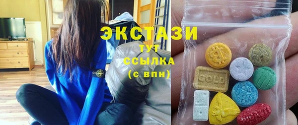 ECSTASY Богданович