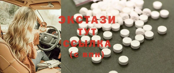 ECSTASY Богданович